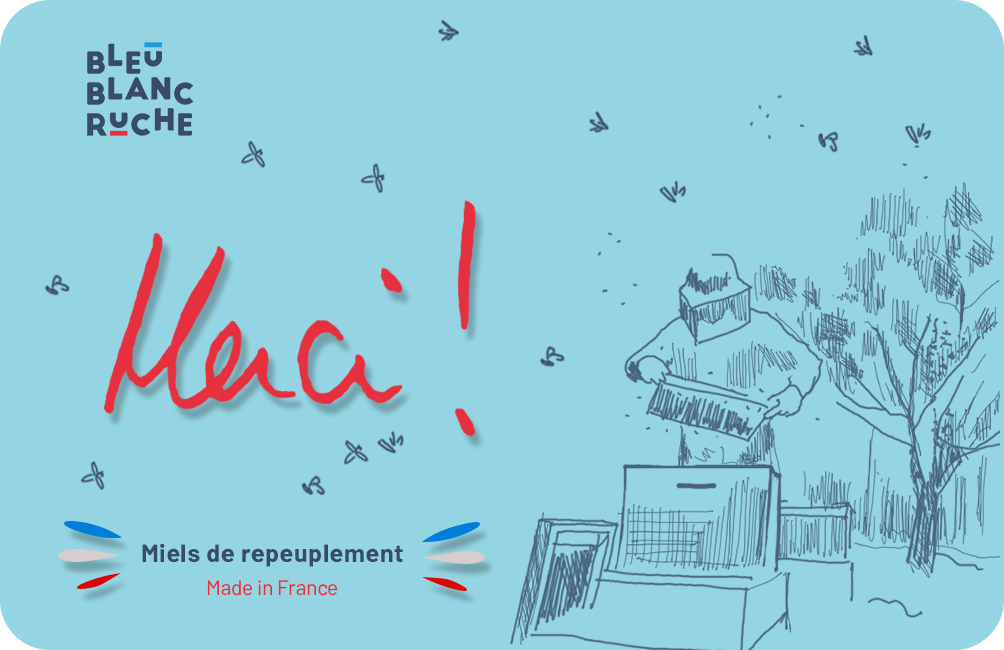 bleu-blanc-ruche-carta-regalo-buono-digitale-mieli-francesi image 1